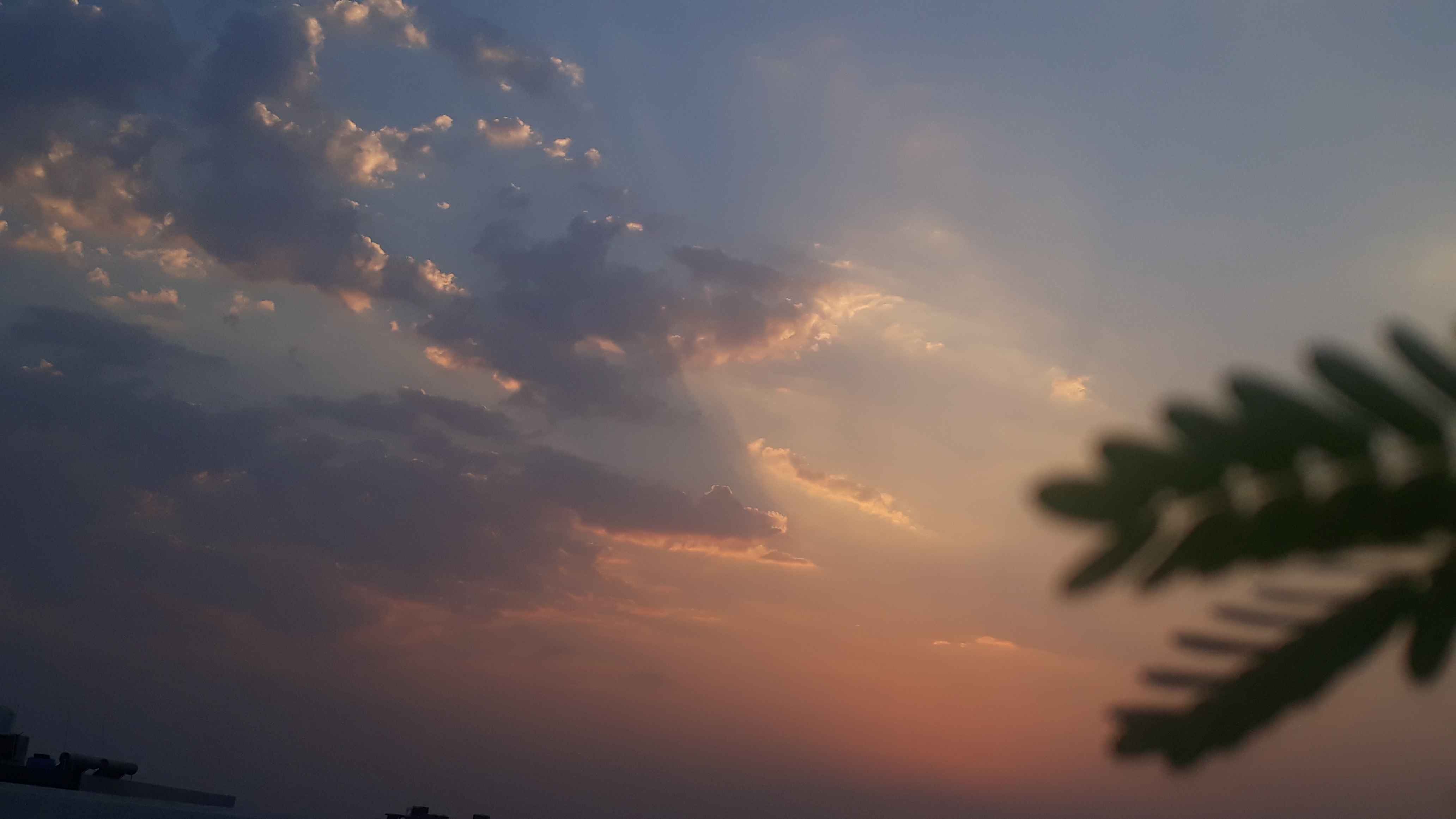 Services Illustration